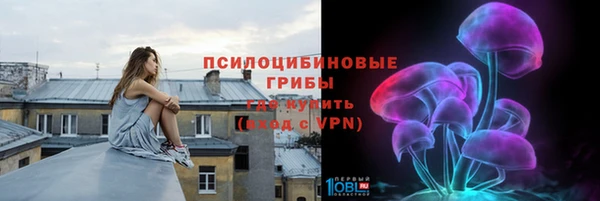 стафф Абаза