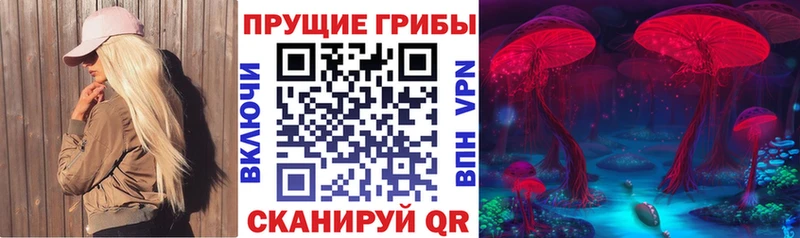 купить наркоту  Ржев  Галлюциногенные грибы Magic Shrooms 